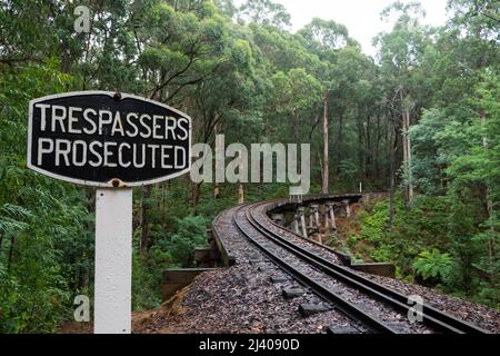 Storico Puffing Billy Railway Tracks, Dandenong Ranges Foto Stock