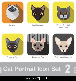 Gatto di razza faccia piana cartoon design icona Birman, Bombay gatto, Gatto birmano, gatto birmano, British Shorthair, Chartreux, Colorpoint Shorthair Illustrazione Vettoriale