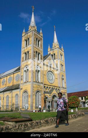Surinam - la Cattedrale-Basilica di San Pietro e Paolo detta anche Cattedrale di San Pietro e Paolo (olandese: Sint-Petrus-en-Pauluskathedraal) è un bosco Foto Stock