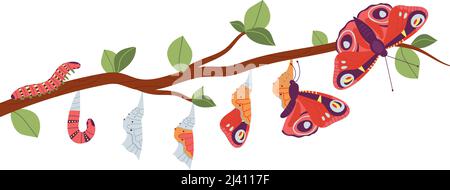 Butterfly nato. Pupa insetto sviluppo, caterpillar cambiare in farfalle. La vita di Cocoon, l'evoluzione degli insetti selvatici o la metamorfosi, processo decente Illustrazione Vettoriale