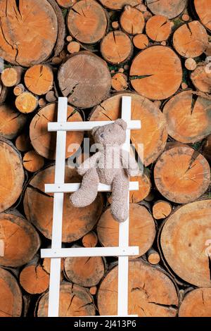 Una scala bianca con pioli è appoggiata contro un cumulo di legno nel fienile. Il mazzo di alberi tagliati a croce è alto Foto Stock
