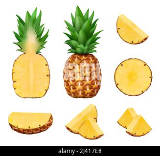 Ananas. Primo piano immagine di ananas sano naturale esotico prodotto decente vettore realistico isolato templates Illustrazione Vettoriale