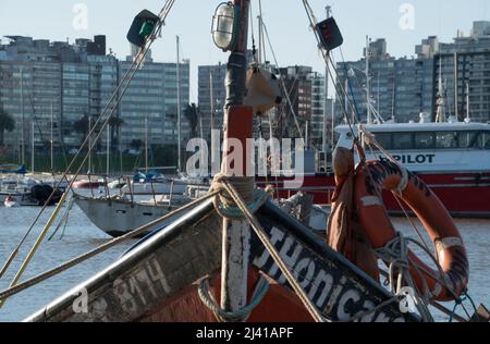 Barca a vela nel porticciolo di Buceo in Montevideo, Uruguay Foto Stock