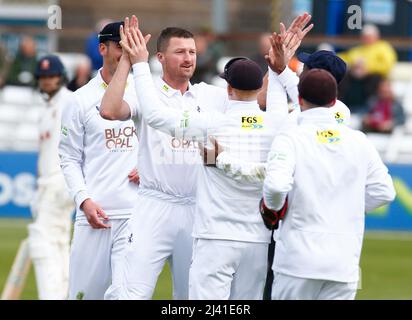 CHELMSFORD INGHILTERRA - APRILE 08 : Jackson Bird of Kent CCC celebra il cazzo del Tom Westley dell'Essex e catturato da Ollie Robinson di Kent CCC duri Foto Stock