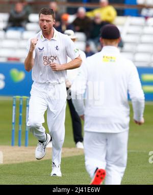 CHELMSFORD INGHILTERRA - APRILE 08 : Jackson Bird of Kent CCC celebra il cazzo del Tom Westley dell'Essex e catturato da Ollie Robinson di Kent CCC duri Foto Stock