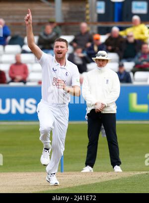 CHELMSFORD INGHILTERRA - APRILE 08 : Jackson Bird of Kent CCC celebra il cazzo del Tom Westley dell'Essex e catturato da Ollie Robinson di Kent CCC duri Foto Stock