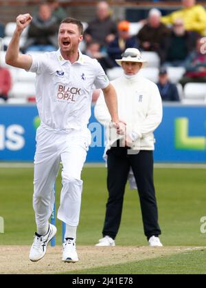 CHELMSFORD INGHILTERRA - APRILE 08 : Jackson Bird of Kent CCC celebra il cazzo del Tom Westley dell'Essex e catturato da Ollie Robinson di Kent CCC duri Foto Stock