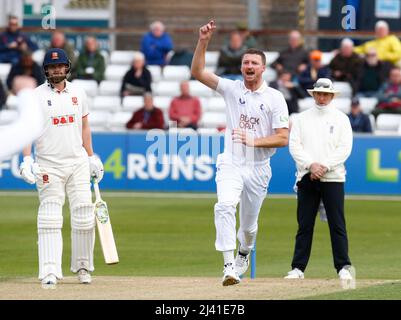 CHELMSFORD INGHILTERRA - APRILE 08 : Jackson Bird of Kent CCC celebra il cazzo del Tom Westley dell'Essex e catturato da Ollie Robinson di Kent CCC duri Foto Stock