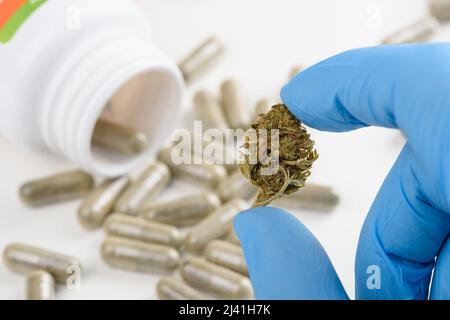 Scienziato tenere CBD fiore germoglio di cannabis in mano con flacone di pillole sullo sfondo Foto Stock