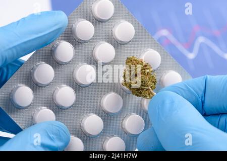 Scienziato tenere blister pillole mediche in una mano e CBD fiore germoglio di cannabis in un altro Foto Stock