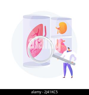 Illustrazione vettoriale astratta del concetto di organi coltivati in laboratorio. Cellule staminali coltivate in laboratorio, organi bioartificiali, parti artificiali del corpo umano, transpl in crescita Illustrazione Vettoriale