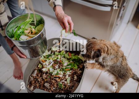 Donna gettando talee vegetali in un secchio di composto in cucina. Foto Stock
