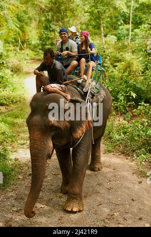 La migliore esperienza in Thailandia. Girato di un elefante con un gruppo di turisti che cavalcano sulla schiena. Foto Stock