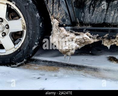 Condizioni invernali in cui lo spettacolo di fusione fa diventare le strade slick Foto Stock