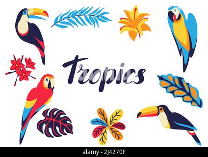 Cornice con pappagallo macaw, toucan e piante tropicali. Uccelli esotici decorativi, foglie di anfo di fiori. Illustrazione Vettoriale