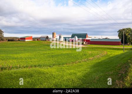 Fattoria con silos e un granaio rosso in caldo luce del tramonto in autunno Foto Stock