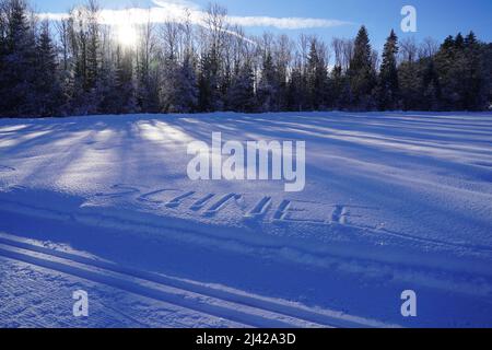 Campo coperto di neve con la parola Schnee, che significa neve in tedesco scritto nella neve. Ci sono alberi sullo sfondo e un po' di sole passa attraverso. Foto Stock