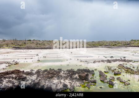 Percorso per Las Grietas pieno di cactus e piscine vulcaniche. Foto Stock