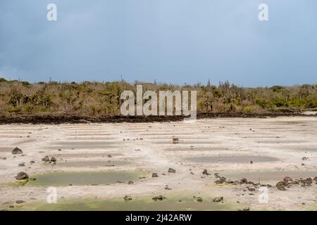 Percorso per Las Grietas pieno di cactus e piscine vulcaniche. Foto Stock