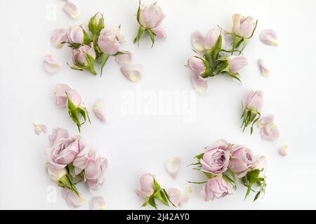 Struttura da rose e petali su sfondo bianco. Disposizione piatta. Foto Stock