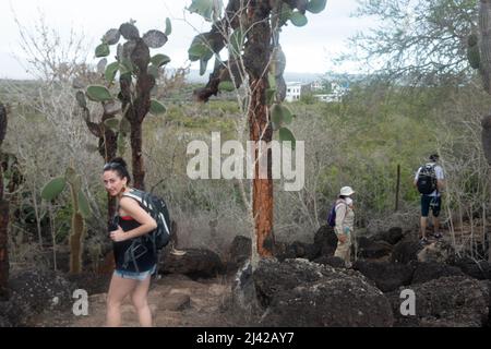 Percorso per Las Grietas pieno di cactus e piscine vulcaniche. Foto Stock