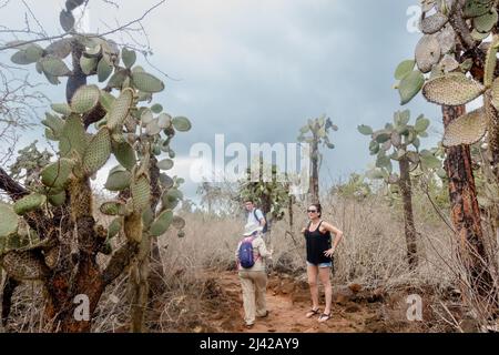Percorso per Las Grietas pieno di cactus e piscine vulcaniche. Foto Stock