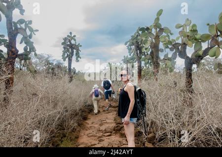 Percorso per Las Grietas pieno di cactus e piscine vulcaniche. Foto Stock