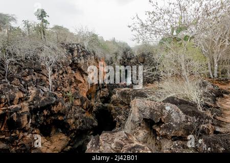 Percorso per Las Grietas pieno di cactus e piscine vulcaniche. Foto Stock