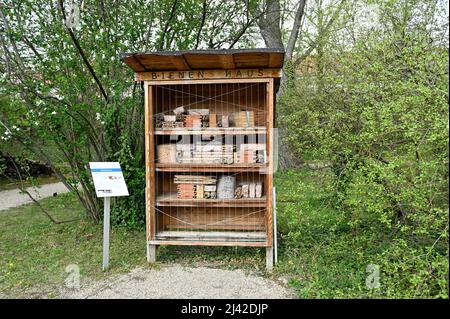 Vienna, Austria. Apiario per api selvatiche nel giardino botanico di Vienna Foto Stock