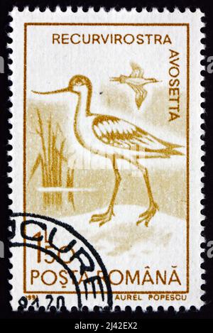 ROMANIA - CIRCA 1991: Un francobollo stampato in Romania mostra Pied Avocet, Recurvirostra Avosetta, Wader Bird, circa 1991 Foto Stock