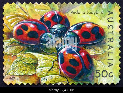 AUSTRALIA - CIRCA 2003: Un francobollo stampato in Australia mostra Vedalia Ladybird, Rodolia Cardinalis, Beetle, Insect, circa 2003 Foto Stock