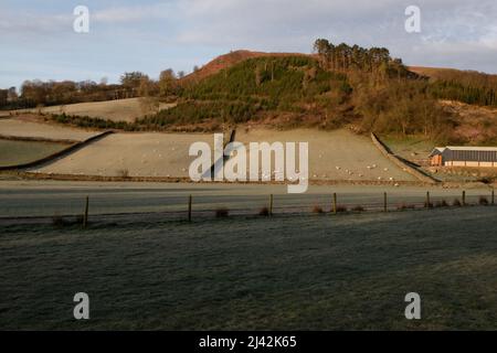 Mattina gelata, Craig DDU, Llanwrthwl, Powys, Galles, Regno Unito Foto Stock