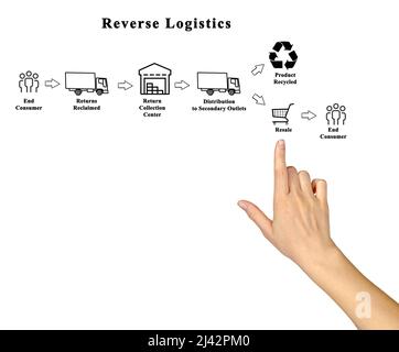 Donna che presenta il processo di Reverse Logistics Foto Stock