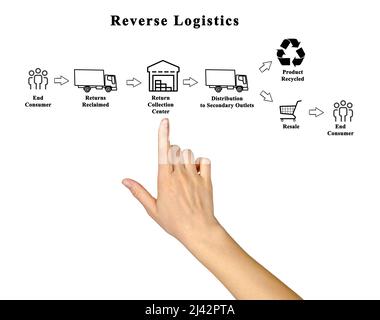 Donna che presenta il processo di Reverse Logistics Foto Stock