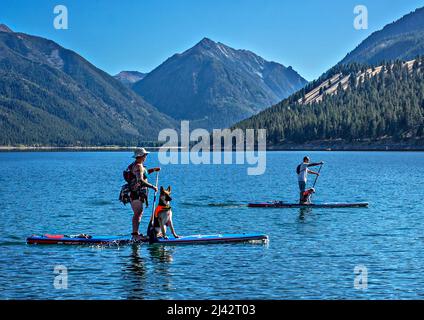 Paddleboard con cani, Wallowa Lake, Oregon Foto Stock