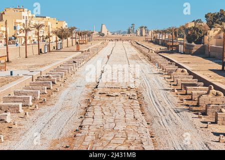 11 gennaio 2022, Luxor, Egitto: Vicolo di Sphinxes e Tempio di Karnak Foto Stock