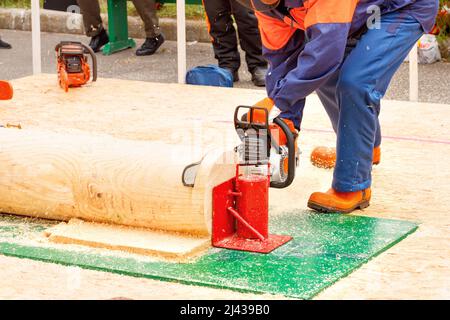 Un uomo, come partecipante ad una gara di lumberjack, in tute protettive, sega un tronco di albero con una motosega. Spazio di copia. Foto Stock