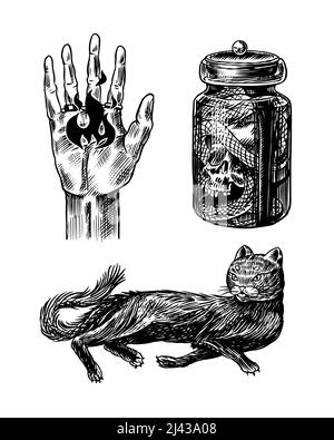 Gatto nero. Animale strega. Mano con il fuoco. Un serpente con un teschio in un vaso. Halloween o stregoneria pagana. Disegno di incisione vintage. Profilo di Doodle. Mano Illustrazione Vettoriale