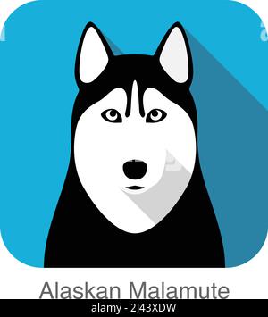 Siberian Husky faccia, Alaskan Malamute vector illustrator Illustrazione Vettoriale