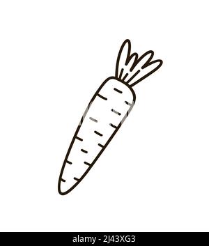 Carota carota carina isolato su sfondo bianco. Illustrazione vettoriale disegnata a mano in stile doodle. Perfetto per disegni di vacanza, biglietti, logo, decorazioni Illustrazione Vettoriale