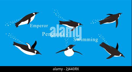 Molti pinguini dell'imperatore nuotano in mare con varie posizioni. Illustrazione Vettoriale