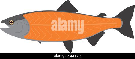 Carne di salmone, pesce crudo parte, illustrazione vettoriale Illustrazione Vettoriale