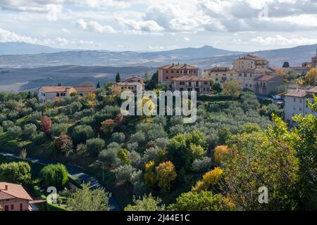 Passeggiate sulle colline nei pressi di Castelnuovo dell'Abate, Montalcino, Toscana, Italia. Paesaggio toscano con cipressi, vigneti, boschi e olivi in c Foto Stock