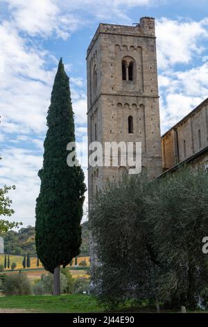 Passeggiate sulle colline nei pressi di Abbazia Sant'Antimo, Montalcino, Toscana, Italia. Paesaggio toscano con cipressi, vigneti, boschi e olivi a clou Foto Stock
