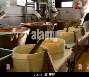 Processo tradizionale per la produzione di ruote di parmigiano-reggiano in piccola azienda casearia di Parma, Reggio Emilia, Italia Foto Stock