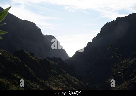 Montagne nel parco Rural de Teno vicino al villaggio isolato Masca a Tenerife, isole Canarie, Spagna in inverno Foto Stock