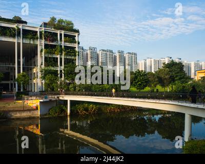 Singapore - Novembre 21 2021: Vista mattutina di un ponte pedonale che collega i blocchi di appartamenti HDB al centro commerciale Oasis Terraces a Punggol, a n Foto Stock