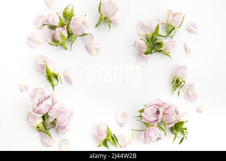 Struttura da rose e petali su sfondo bianco. Disposizione piatta. Foto Stock
