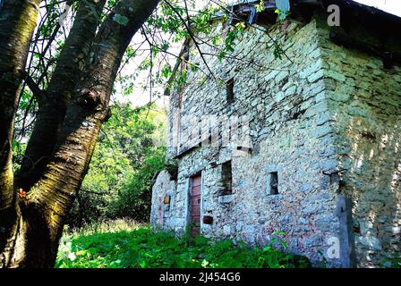 Veneto, Italia. Monte Grappa, col Bonato : sede austriaca.   Veneto, Italia, Monte Grappa, col Bonato : Comando austriaco. Foto Stock