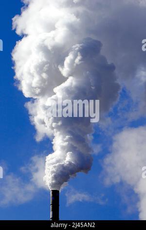 Rauchender Schlot, Kraftwerk, Schornstein, CO2, Energie, Energiesteuer, Kohlekraftwerk, Schadstoffausstoss, Umweltverschmutzung, Laufzeitverlängerung, Foto Stock
